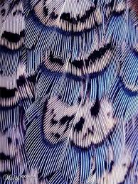 Pin By Organizational Design By Cryst On Art Tap Estry Patterns In Nature Feather Texture
