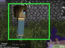 Make sure you have already installed minecraft dungeons forge. How To Make A Baby In Minecraft Any Version With Mods 9 Steps