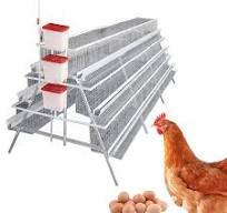 Customizable Galvanized Chicken Cages for Layers/Broilers - OEM Accepted