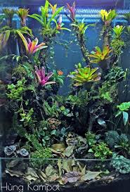 Pin By Josh Jones On Animals Beautiful Terrariums Reptile Terrarium Reptile Room