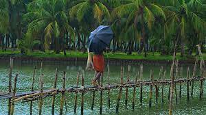 The word monsoon itself brings a smile on everyone's face. Monsoon In Kerala Kerala Tourism