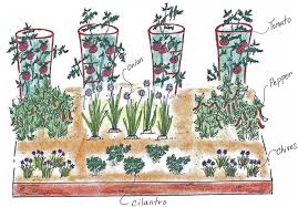 Pin On Veggie Gardens