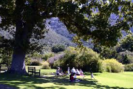 See more of botanischer garten und botanisches museum berlin on facebook. Sudafrika Kirstenbosch Botanischer Garten Am Tafelberg Vonreisenundgaerten