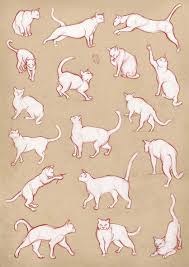Cat Drawing Reference And Sketches For Artists Animal Drawings Animal Sketches Cat Drawing Tutorial