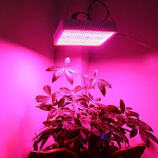 Die helligkeit von led lampen wird nicht mehr in watt, sondern in lumen angegeben. Led Grow Lampe Vergleiche Testberichte Von Led Pflanzenlampen