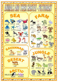 Vocabulary Animals Their Habitat Fluent Land In 2020 Animal Habitats Animal Adaptations Animal Worksheets