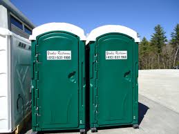 flushable portable toilet with sink