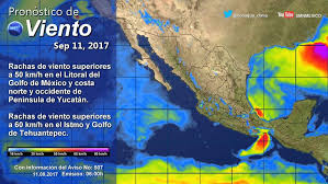 La tierra es hogar hoy de más de tres billones de árboles, más de siete veces la cantidad estimada hace una década, sin embargo la cifra. El Clima Hoy Noticias De Michoacan