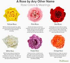 Rose Color Chart Meanings Yellow Rose Meaning Rose Color