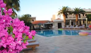 Hier findest du zentrale kriterien, welche du beim kauf einer liege beachten solltest. Sauberer Pool Kleine Feine Bar Bequeme Liegen Schoner Garten Picture Of Stelios Gardens Heraklion Tripadvisor