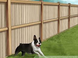 Check out these 26 digging deterrents to stop your dog for good! Will Mothballs Keep Dogs From Pooping In My Yard Dogwalls