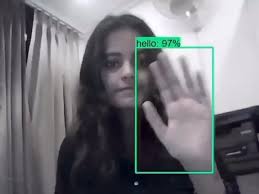 A computer science student named Priyanjali Gupta, studying in her third  year at Vellore Institute of Technology, has developed an AI-based model  that can translate sign language into English