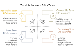 Cash Value Life Insurance Policies: What Is a Cash Value Life Insurance  Policy? - Everly Life