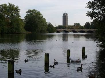 The Serpentine Lake curving gently through the park grounds, AI generated