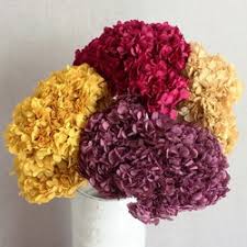Maybe you would like to learn more about one of these? Flores Naturales Eternas Dispuestas A Durar Flores Frescas Online