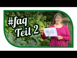 Gartenrundgang Juli 16 Garden Tour Beerenernte Feigenernte Selbstversorger Biogarten Youtube Biologisch