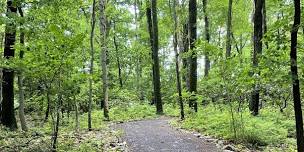 Appalachian Forest Ecology and Tree Identification