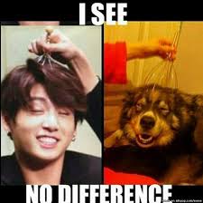 Check spelling or type a new query. Meme Center Allkpop Memes Bts Jungkook Bts Memes