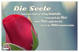 Platon Zitate Herz Leben Zitate
