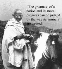 Collected Quotes From Mahatma Gandhi Moco Choco