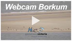 Webcam borkum worldwide webcamslinks and pictures webcamhitlist.com. D6kbye5tmk2bam