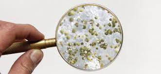 Check spelling or type a new query. Best Dehumidifier For Mold Kill Mold Effectively Good Air Geeks