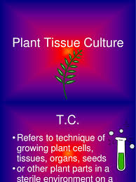 We did not find results for: Introduction Of Plant Tissue Culture