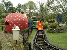 We did not find results for: 10 Objek Wisata Terbaik Dekat Kebun Raya Baturaden Tripadvisor