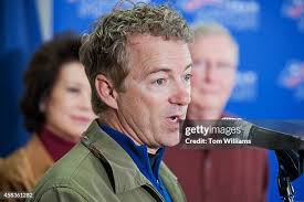 48 Alison Rand Stock Photos, High-Res Pictures, and Images