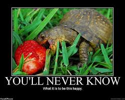 YOU'LL NEVER KNOWWhat it is to be this happy.KuvatON.com / funny pictures /  funny pictures & best jokes: comics, images, video, humor, gif animation -  i lol'd