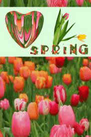 Lift your spirits with funny jokes, trending memes, entertaining gifs, inspiring stories, viral videos, and so much. Spring Gifs Tenor