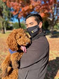 The breed is dived into four varieties based on size, the standard poodle, medium poodle. Garrett Yamasaki Founded The Biggest Doodle Website With We Love Doodles Flipboard