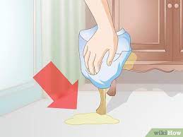 How To Get Rid Of Cat Spray Odor 12 Steps With Pictures