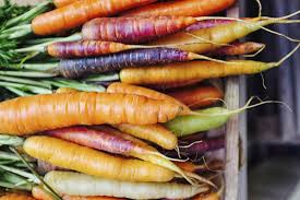 The cultivated carrot is one of the most important root vegetables grown in temperate regions of the world. Carrots Benefits Nutrition Diet And Risks