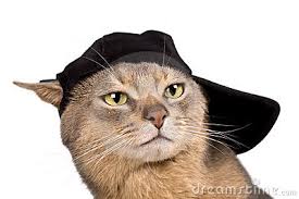 images?q=tbn:ANd9GcRFnnSD31CjBBfyTsgrEbojkF8TrhmFZmjWEA&usqp=CAU