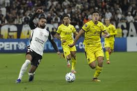 COPA LIBERTADORES