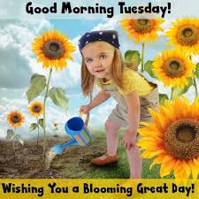Tuesday is just another word for monday.. Quotes For Tuesday Morning Tuesday Quotes Morning