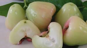 8 super summer season fruits for your child. White Jamun Why You Should Try This Lesser Known Summer Fruit News Block