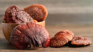 Image result for Ganoderma lucidum
