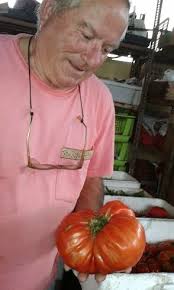 QUINTES-Mirador del Cantábrico: octubre 2014