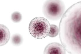 Malignant Mesothelioma Cells May Be Spread By Low Dose Photon Irradiation German Study Warns
