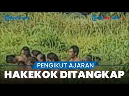 Kelompok 'hakekok' melakukan ritual mandi bareng antara wanita dan pria dalam satu tempat yakni disebuah rawa. H2seefg34owawm