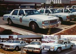 Image result for Chrome Yellow 1990 US Government