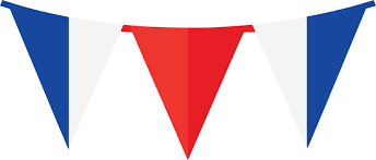 Image result for French Banner Blue 2000 CIL