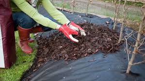 Placing mulch on top of weed fabric pretty much defeats the purpose of the landscape fabric from the beginning for a few reasons: Quick Tip Why Is Landscape Fabric Not Recommended Under Mulch The Masters Lawn Care