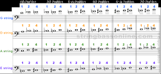 • each node stores a small table log(n). String Bass Online Fingering Chart