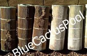 New image landscape and pools, llc 1965 w. Pool Filter Cleaning Repair New Cartridge Filters De Filters Sand Filters Phoenix Scottsdale Anthem Peoria Glendale Surprise Arizona Pool Repair And Cleaning Service