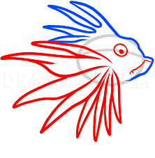 We will see all of these types of organisms in the playa food web. How To Draw A Lionfish Lionfish Step By Step Drawing Guide By Dawn Dragoart Com