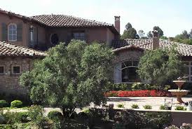 Fruitless olive tree home depot. Pin On Design For My Home