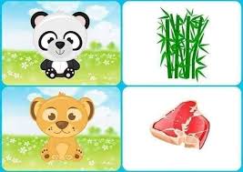 غذاء الحيوانات بالصور